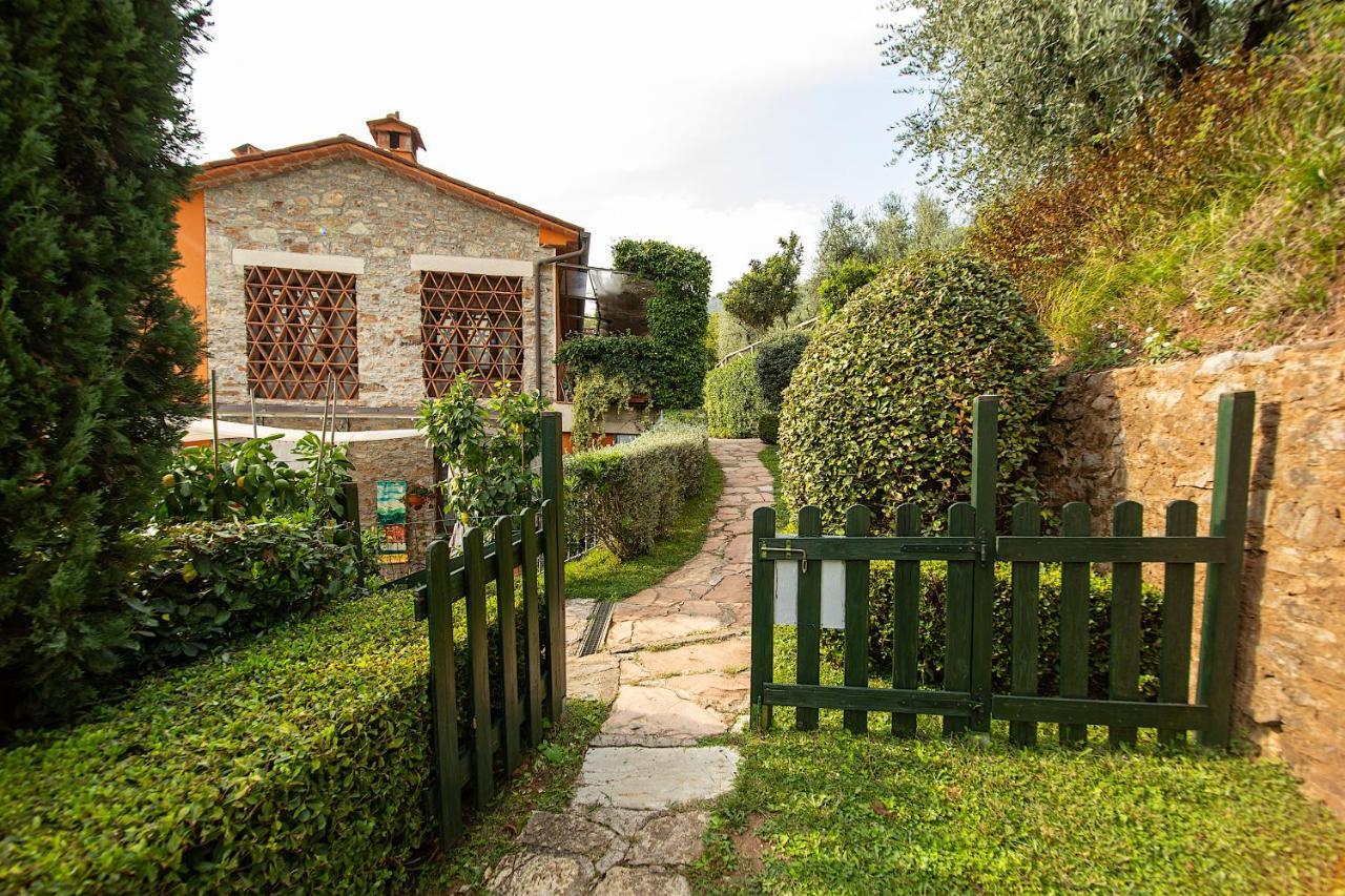 Casetta Di Butia, Gelsomino Apartment Borgo a Mozzano Kültér fotó