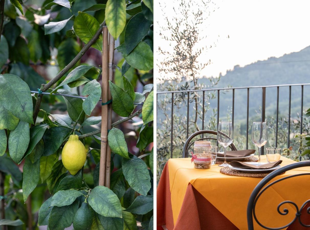 Casetta Di Butia, Gelsomino Apartment Borgo a Mozzano Kültér fotó