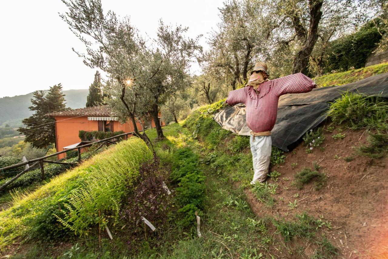 Casetta Di Butia, Gelsomino Apartment Borgo a Mozzano Kültér fotó